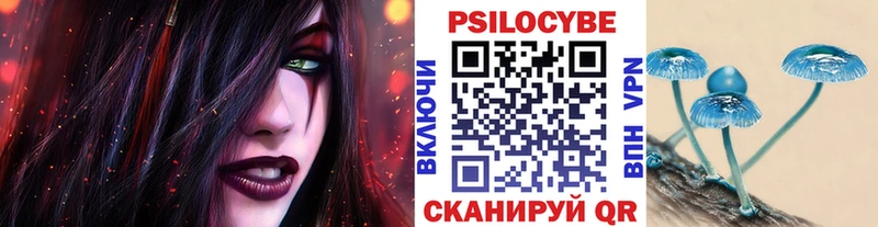 Псилоцибиновые грибы Psilocybine cubensis  ссылка на мегу как зайти  Кондрово 